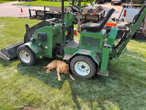 Drainage Contractor Green Bay​ with Luigi